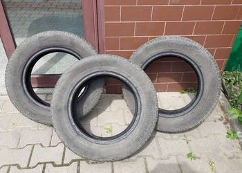 Continental ContiWinterContact TS830 195/65R15 91T bieżnik 6-7 mm