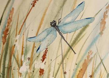 Akwarela Oryginalna "Ważka" | Rękodzieło 19x26 cm | Sygnowana