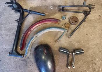 Komar sztywniak czesci