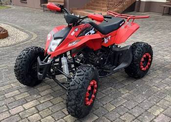 Quad 250 FX mad max