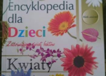 Encyklopedia dla dzieci Zadziwiający świat faktów kwiaty