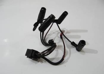 WIĄZKA ŚWIEC ŻAROWYCH BMW E84 E90 F25