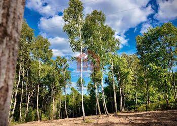 Oferta sprzedaży działki 733m2 Malawa
