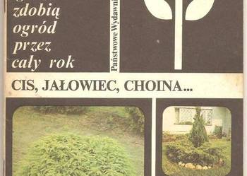 CIS, JAŁOWIEC, CHOINA - P. MURAS