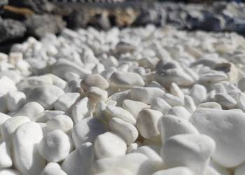 Otoczak śnieżnobiały Thasos 1/2 cm / kamień ogrodowy/ biały kamień