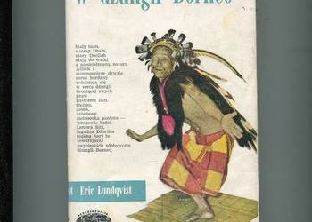 W dżungli Borneo - Eric Lundqvist