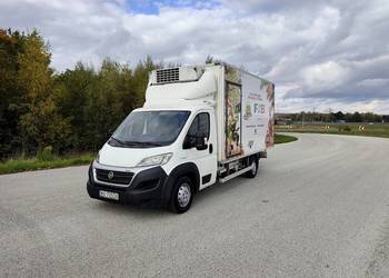 Fiat Ducato Maxi Chłodnia/Mroźnia * 2.3 180KM * 2019 * Dwa Agregaty*