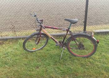 rower forester gurski