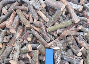 Gałęziówka oraz Drewno Kominkowe Buk Dąb Grab Brzoza Sosna Jesion SUCHE