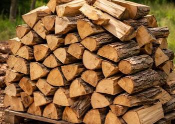 Drewno kominkowe opałowe