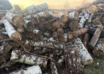 Sprzedam drewno gałęziówka/kominkowe