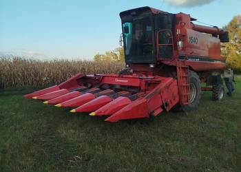 Przystawka do kukurydzy Geringhoff PC6 składana 6 rzędowa