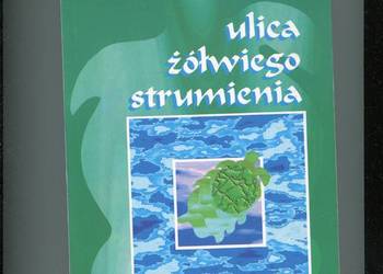 Ulica Żółwiego Strumienia - Ziółkowska