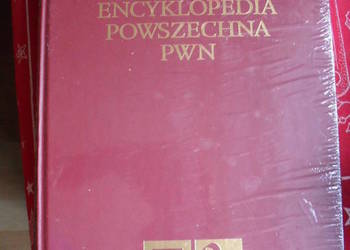Nowa Encyklopedia Powszechna PWN Tom 6 folia