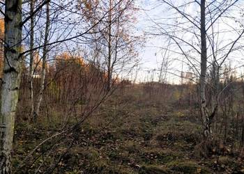 Sprzedam działkę budowlaną z dostępem do rzeki w Nowych Mostkach