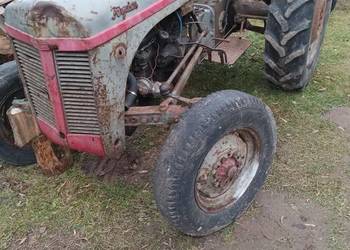 Massey Ferguson 20 tea benzyna