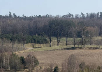 Działka siedliskowa/budowlana