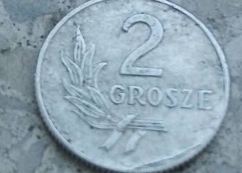 POLSKA 2 GROSZE 1949 r AL -b.z.