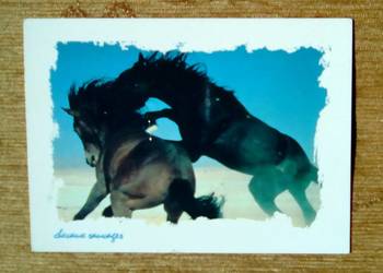 KOŃSKIE ZABAWY KOŃSKA MIŁOŚĆ