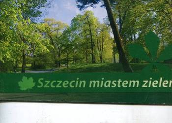 Szczecin miastem zieleni