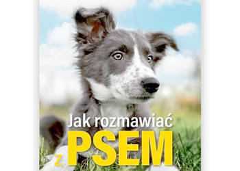 książka jak rozmawiać z psem seria Fakt poleca, Agnieszka Samolej Jak rozma