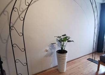 Pergola brama weselna używana