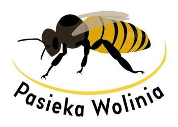 ALPEJKA 5+1 gratis matki pszczele Pasieka Wolinia