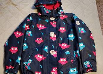 Spszedam komplet narciarski w sówki