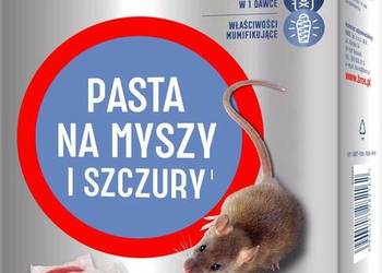 Pasta na myszy i szczury 1 kg 15941857