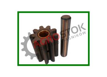 Satelita ze sworzniem planetarna ltz