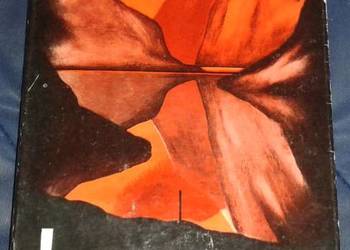 Ognie nad fiordami - Maximo Manus