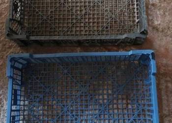 Skrzynki plastikowe Casi 40X30X12cm. 750szt