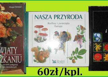 Kwiaty w mieszkaniu/Nasza przyroda/Leksykon roslin