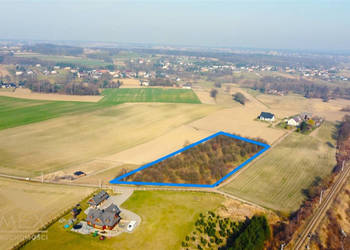 Oferta sprzedaży działki Czernica 7500m2