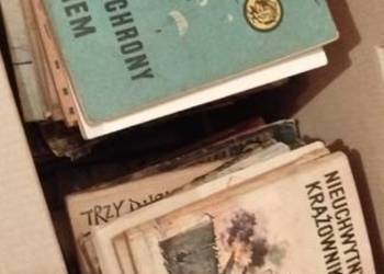 Seria z tygryskiem 114 książeczek