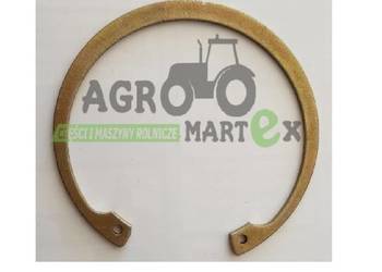 11059776, 80300643, 800-2138, 300643, 11059775 PIERŚCIEŃ CNH