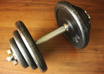 Hantla. Sztangielka. 17,5 kg. Gryf i zaciski metalowe niklowane