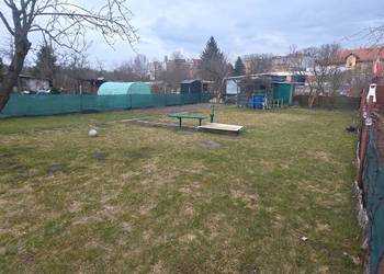 Zielona Oaza w Centrum Miasta – Działka ROD 300 m² z Własnym Sadem!