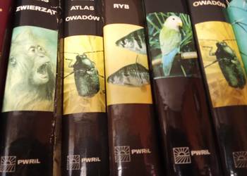 Wielki Atlas zwierzat owadow ryb ptakow