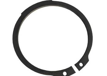 AG520005 Pierścień ustalający Agco Parts