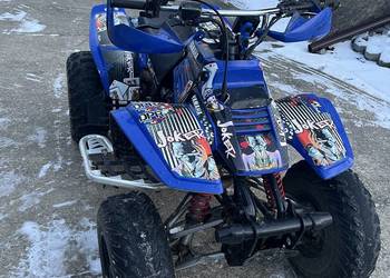 Yamaha Warrior 350 (raptor)