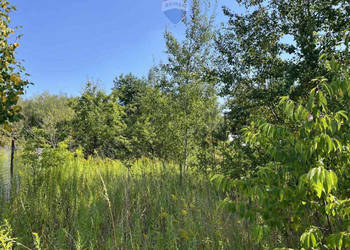 Działka (jeszcze) rolna przy rezerwacie