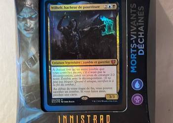 Magic gathering karty polowanie na północ