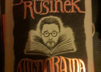 Niedorajda. Czyli co nam radzą poradniki Michał Rusinek