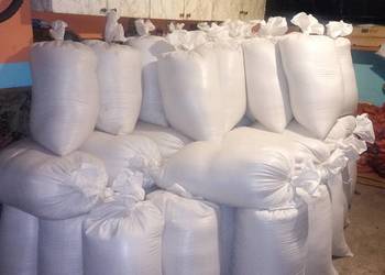 Pszenżyto ozime "BORWO" pierwszy rok po centrali Pszenżyto ozime "BORWO" pierwszy rok po centrali