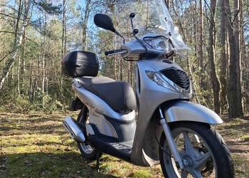 Honda Sh125 Super Niezawodna i ekonomiczna