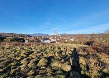 Syndyk masy upadłości sprzeda nieruchomość niezabudowaną w Żywcu-udział 1/2