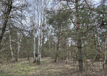 3z5 Działka budowlana, Kuklówka Radz., 1432 m2