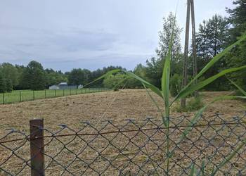 Działka rekreacyjna ( 0,9 ha ) Chrzanów-Borowiec