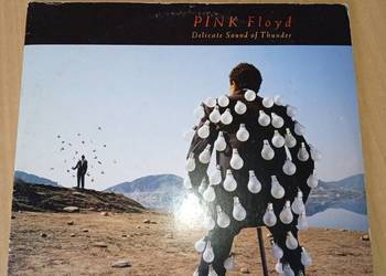 Pink Floyd Delicate Sound Of Thunder (Hungary)